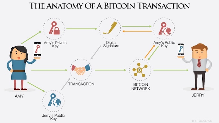 What Is Bitcoin And How Does It Work Trace Mayer Explains Capitalism